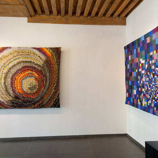 Sabine Cibert - Exposition Lyon 2017 - Emergences - @Philippe-Liev Pourcelot - Big Brother et Ronds dans l'eau